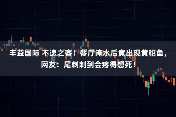丰益国际 不速之客！餐厅淹水后竟出现黄貂鱼，网友：尾刺刺到会疼得想死！