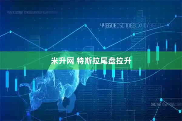 米升网 特斯拉尾盘拉升