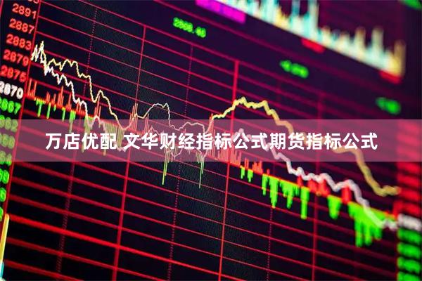 万店优配 文华财经指标公式期货指标公式