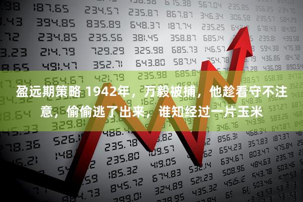 盈远期策略 1942年，万毅被捕，他趁看守不注意，偷偷逃了出来，谁知经过一片玉米