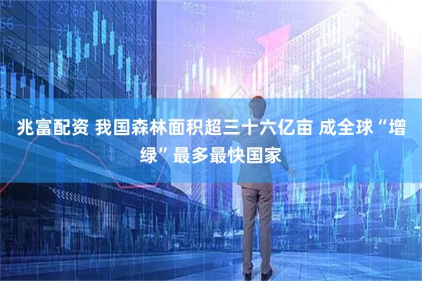 兆富配资 我国森林面积超三十六亿亩 成全球“增绿”最多最快国家