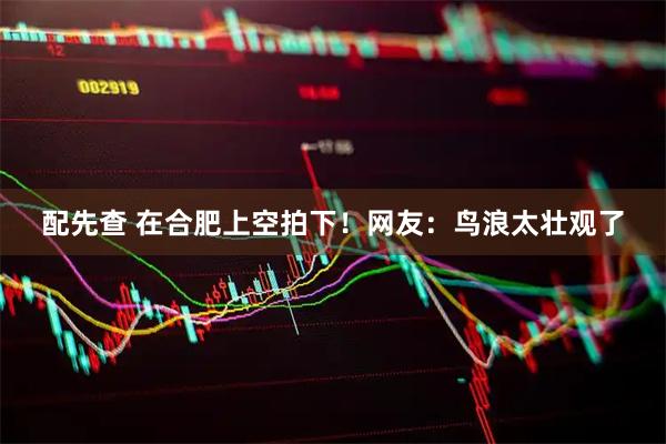 配先查 在合肥上空拍下！网友：鸟浪太壮观了