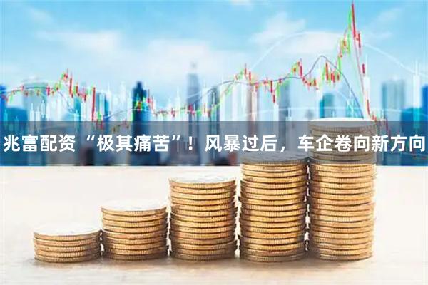 兆富配资 “极其痛苦”！风暴过后，车企卷向新方向