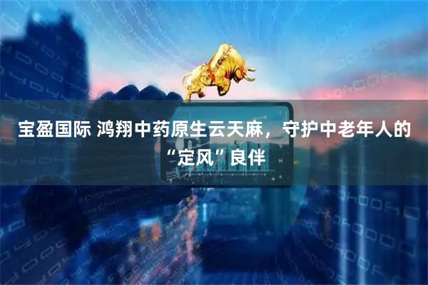 宝盈国际 鸿翔中药原生云天麻，守护中老年人的“定风”良伴