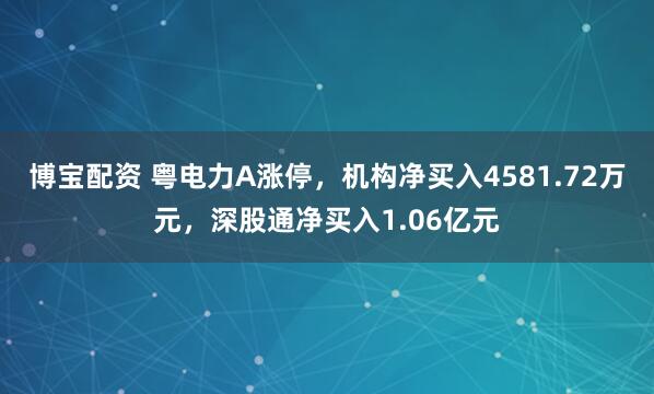 博宝配资 粤电力A涨停，机构净买入4581.72万元，深股通净买入1.06亿元