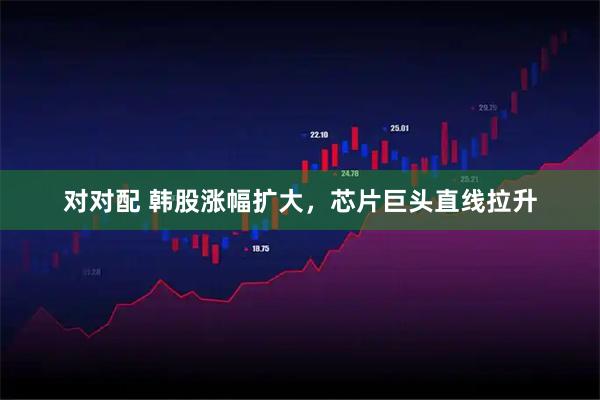 对对配 韩股涨幅扩大，芯片巨头直线拉升