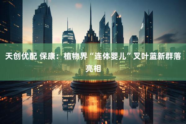天创优配 保康：植物界“连体婴儿”叉叶蓝新群落亮相