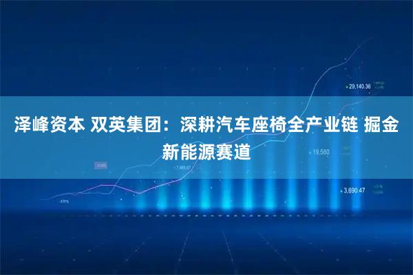 泽峰资本 双英集团：深耕汽车座椅全产业链 掘金新能源赛道